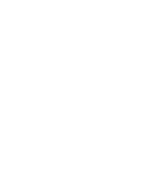 Shield icon