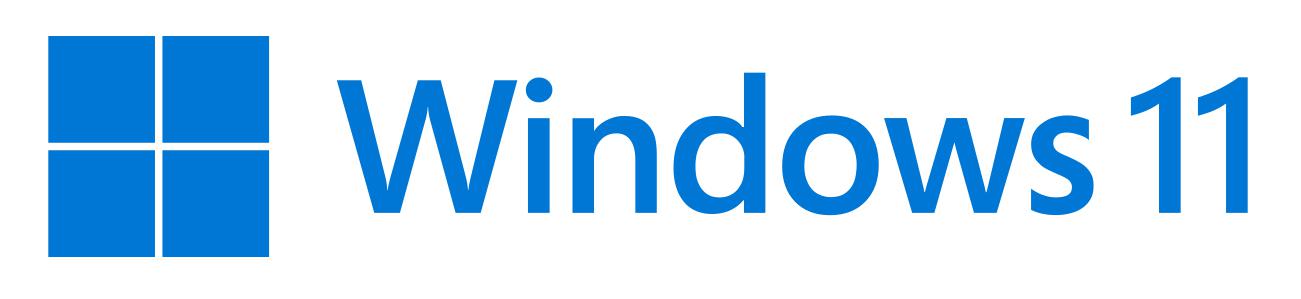 Microsoft Win Pro FPP 11 64-bit Eng Intl USB