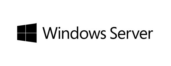Fujitsu WINSVR 2025 STD 16Core ROK