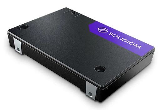 Solidigm SSD/PS1010 3.84TB 2.5in PCIe 5.0 SglPk