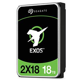 Seagate Exos 2x18.