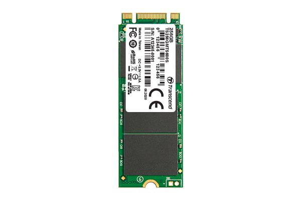 Transcend 256GB M.2 2260 SSD SATA3 B+M Key MLC