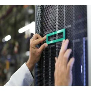 Hewlett Packard Enterprise HPE DL380 Gen10+2SFF SAS/SATA BC Kit